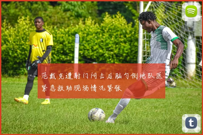 范戴克遭射门闷击后脑勺倒地队医紧急救助现场情况紧张